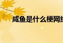 咸魚是什么梗網(wǎng)絡上（咸魚是什么梗）