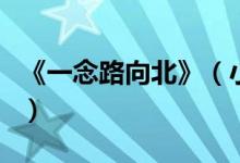 《一念路向北》（小說一念路向北結局是什么）
