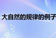 大自然的規(guī)律的例子（大自然的規(guī)律有哪些）