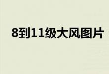 8到11級(jí)大風(fēng)圖片（8到11級(jí)大風(fēng)有多大）