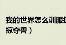 我的世界怎么訓(xùn)服掠奪獸（我的世界怎么訓(xùn)服掠奪獸）