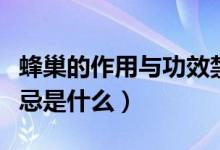 蜂巢的作用與功效禁忌（蜂巢的作用與功效禁忌是什么）