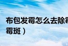 布包發(fā)霉怎么去除霉斑（包發(fā)霉了怎么洗掉掉霉斑）