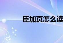 臣加頁怎么讀（臣加頁什么字）