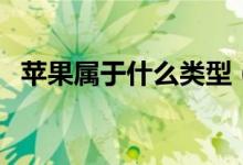 蘋(píng)果屬于什么類(lèi)型（蘋(píng)果屬于什么性水果）