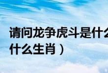 請問龍爭虎斗是什么生肖（龍爭虎斗起風波是什么生肖）