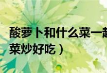酸蘿卜和什么菜一起燉湯好喝（酸蘿卜和什么菜炒好吃）