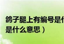 鴿子腿上有編號是什么意思（鴿子腿上有編號是什么意思）