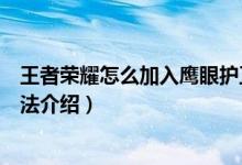 王者榮耀怎么加入鷹眼護(hù)衛(wèi)隊(duì)（王者榮耀加入鷹眼護(hù)衛(wèi)隊(duì)方法介紹）
