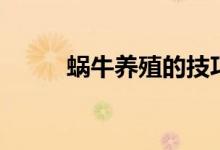 蝸牛養(yǎng)殖的技巧（蝸牛如何養(yǎng)殖）