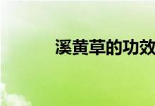 溪黃草的功效（溪黃草的特征）