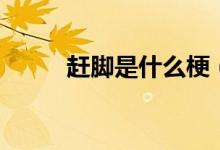 趕腳是什么梗(趕腳是什么意思)