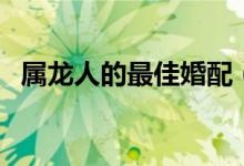 屬龍人的最佳婚配（屬龍人最佳婚配屬相）