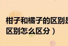 柑子和橘子的區(qū)別是什么（橘子和柑子有什么區(qū)別怎么區(qū)分）