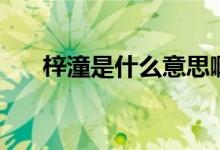 梓潼是什么意思?。ㄨ麂鞘裁匆馑迹?class=