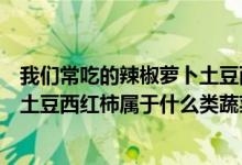 我們常吃的辣椒蘿卜土豆西紅柿屬于什么類蔬菜（辣椒蘿卜土豆西紅柿屬于什么類蔬菜）