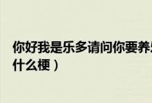 你好我是樂多請問你要養(yǎng)樂多嗎什么意思（樂多和養(yǎng)樂多是什么梗）