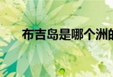 布吉島是哪個(gè)洲的（布吉島是哪里的）