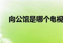 向公館是哪個(gè)電視?。ㄏ旅鏋榇蠹抑v解）