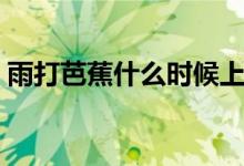 雨打芭蕉什么時候上映（雨打芭蕉什么意思）