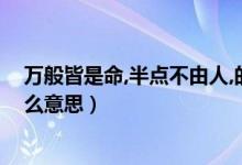 萬(wàn)般皆是命,半點(diǎn)不由人,的意思（萬(wàn)般皆是命半點(diǎn)不由人什么意思）