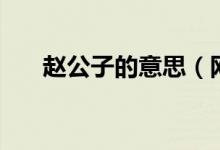 趙公子的意思（網(wǎng)上趙公子什么意思）