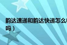 韻達(dá)速遞和韻達(dá)快遞怎么收費(fèi)的(韻達(dá)速遞和韻達(dá)快遞一樣嗎)