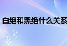 白絕和黑絕什么關系（白絕和黑絕什么關系）
