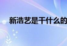 新浩藝是干什么的（新浩藝是干什么的）