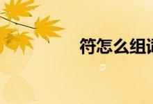 符怎么組詞（符的含義）