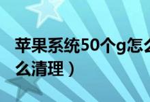 蘋果系統(tǒng)50個(gè)g怎么清理（蘋果系統(tǒng)30個(gè)g怎么清理）