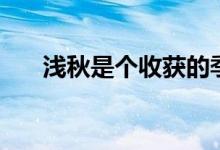 淺秋是個收獲的季節(jié)（淺秋是何寓意）
