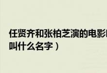 任賢齊和張柏芝演的電影叫什么（任賢齊和張柏芝演的電影叫什么名字）