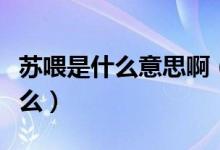 蘇喂是什么意思啊（網(wǎng)絡(luò)用語蘇喂的意思是什么）