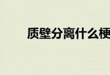 質(zhì)壁分離什么梗（質(zhì)壁分離什么梗）