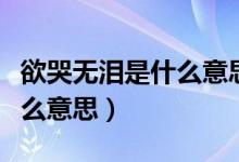 欲哭無淚是什么意思?。ㄓ逕o淚的意思是什么意思）