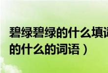 碧綠碧綠的什么填詞語(yǔ)一年級(jí)下冊(cè)（碧綠碧綠的什么的詞語(yǔ)）