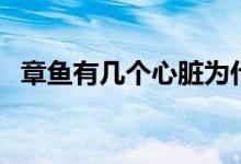 章魚有幾個(gè)心臟為什么（章魚有幾個(gè)心臟）