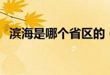 濱海是哪個(gè)省區(qū)的(濱海是哪個(gè)省的城市)