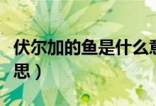 伏爾加的魚是什么意思（伏爾加的魚是什么意思）