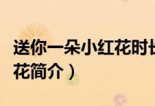 送你一朵小紅花時(shí)長多少分鐘（送你一朵小紅花簡介）