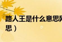 路人王是什么意思網(wǎng)絡(luò)用語（路人王是什么意思）