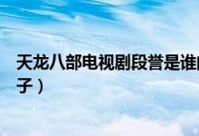 天龍八部電視劇段譽(yù)是誰的兒子（天龍八部里段譽(yù)是誰的兒子）
