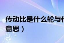 傳動比是什么輪與什么輪之比（傳動比是什么意思）