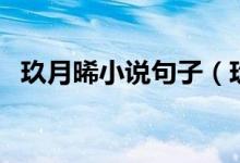 玖月晞小說(shuō)句子（玖月晞的小說(shuō)經(jīng)典語(yǔ)錄）