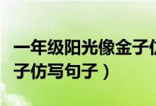 一年級(jí)陽光像金子仿寫句子（一年級(jí)陽光像金子仿寫句子）