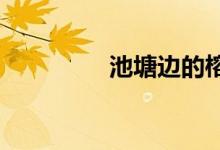 池塘邊的榕樹上是什么歌