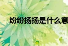 紛紛揚揚是什么意思（紛紛揚揚的含義）