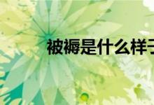 被褥是什么樣子的（被褥是什么）