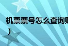 機(jī)票票號(hào)怎么查詢購(gòu)票信息（機(jī)票票號(hào)怎么查）